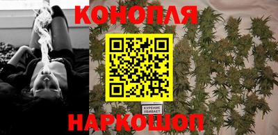 Альфа ПВП Краснознаменск