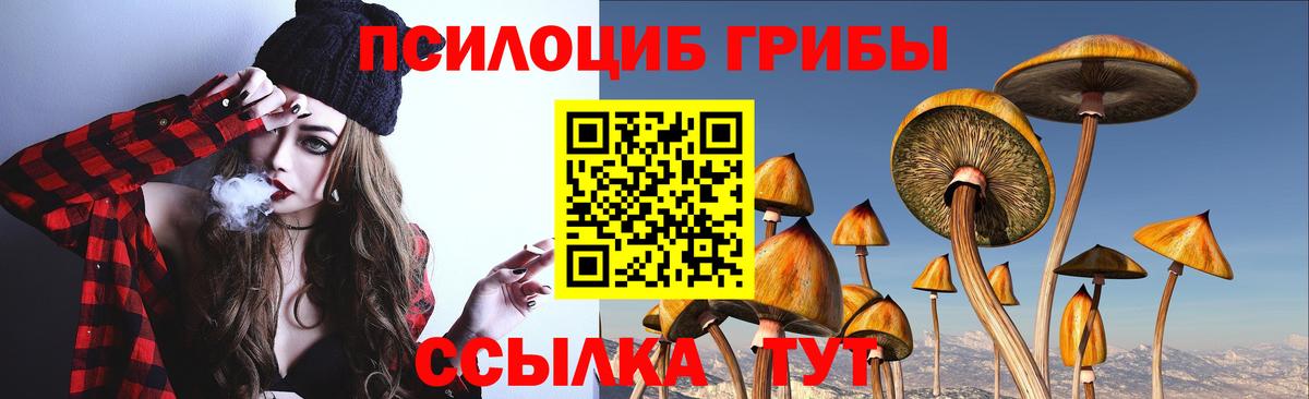 Псилоцибиновые грибы мухоморы  Вход с VPN  Каспийск 